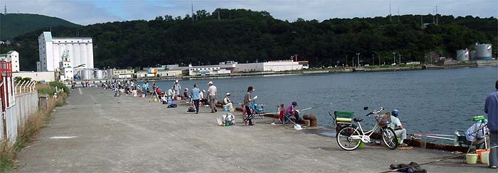 120817_0910hidari.jpg(42582 byte)