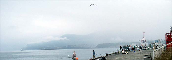 120817_1711sentan.jpg(20269 byte)