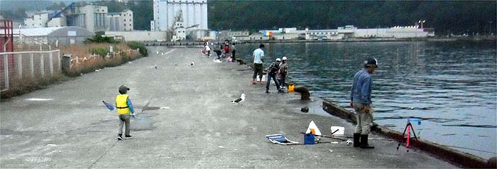 120817_1815hidari.jpg(43917 byte)