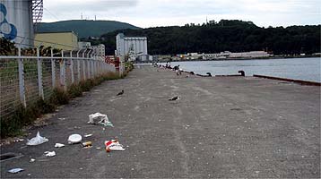 120831_1539gomi.jpg(21964 byte)