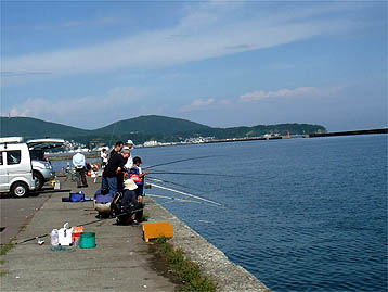 120923_1006wakatake.jpg(27475 byte)