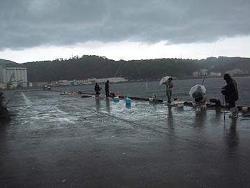 120923_1348hidari.jpg(21356 byte)