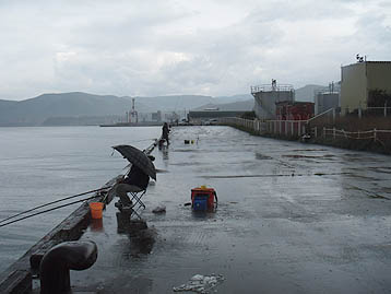 120923_1501migi.jpg(22886 byte)