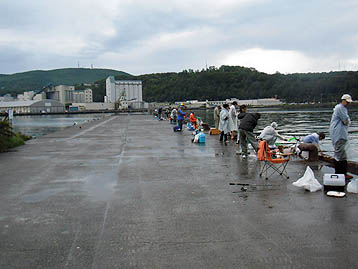120923_1601hidari.jpg(26579 byte)