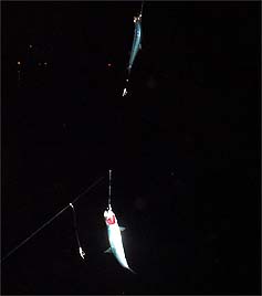 120926_1835katakuti.jpg(9366 byte)