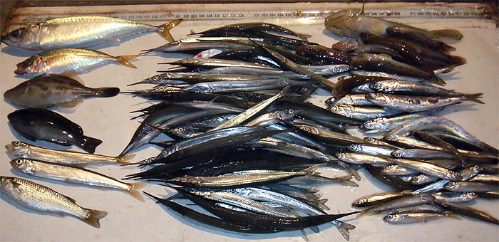 121008.jpg(89359 byte)