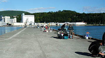 121008_0840hidari.jpg(26941 byte)