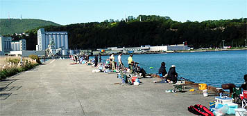 121008_1259hidari.jpg(25848 byte)