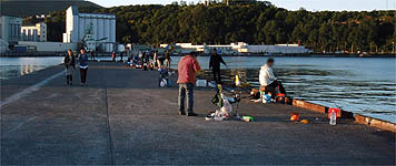 121008_1631hidari.jpg(23815 byte)
