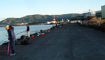 121008_1631migi.jpg(21078 byte)