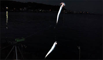 121008_1725katakuti.jpg(12988 byte)