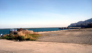 121111_1158katunai.jpg(22502 byte)