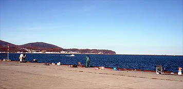 121111_1202ferry.jpg(17865 byte)