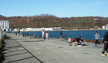 121111_1225ironai.jpg(28651 byte)
