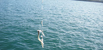 121111_1312jami.jpg(28303 byte)
