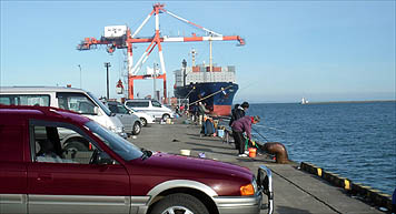 121111_1346hidari.jpg(25804 byte)