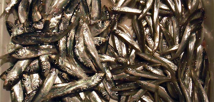 121221.jpg(84937 byte)