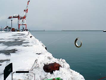 121221_1347tika.jpg(20870 byte)