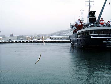 121221_1401tika.jpg(20786 byte)