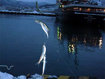 121221_1610nisin.jpg(21997 byte)