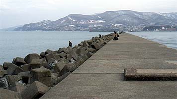 130416_kitabo_.1537.jpg(19111 byte)
