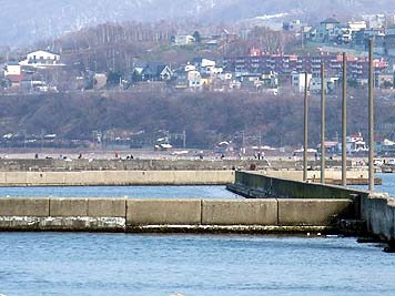 130423_1445minami.jpg(31392 byte)