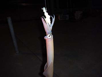 130423_1854yari.jpg(10850 byte)