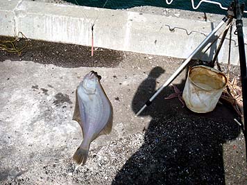 130524_1448magarei.jpg(38649 byte)