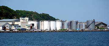 130613_1237umaya.jpg(17176 byte)