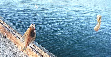 130613_1735sohati.jpg(29587 byte)