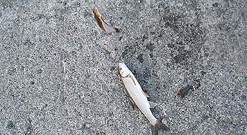 130613_1821double.jpg(42914 byte)