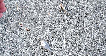 130613_1825double.jpg(41604 byte)