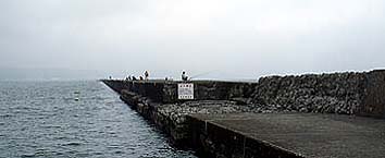 130619_1422minami.jpg(14351 byte)