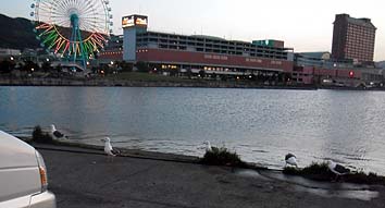 130628_1925kamome.jpg(19766 byte)