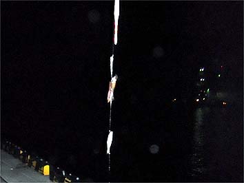 130704_2040mame.jpg(12824 byte)