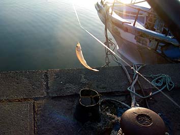 130711_1800tika.jpg(23182 byte)