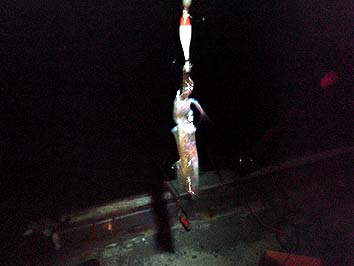 130711_2000mame.jpg(15735 byte)