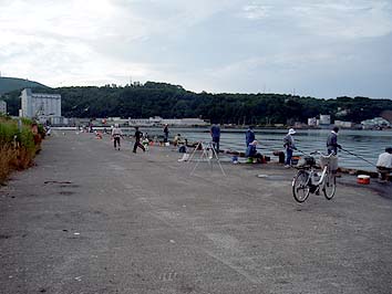 130722_1734hidari.jpg(22920 byte)