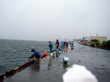 130729_1453migi.jpg(17917 byte)