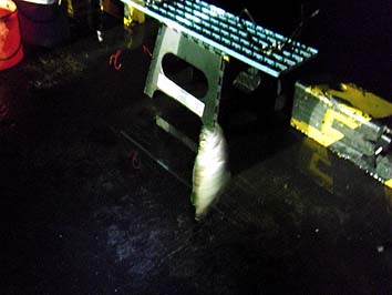130815_0337soi.jpg(20944 byte)