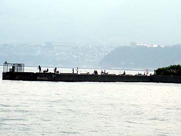 130815_0955konoji.jpg(17906 byte)