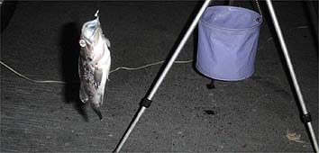130826_1856soi.jpg(16854 byte)