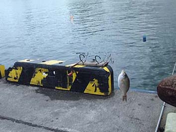 130906_1450tanago.jpg(52808 byte)