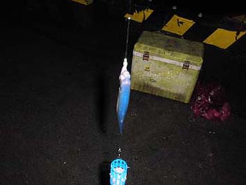 130906_1919katakuti.jpg(39844 byte)