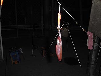 131002_2003mameika.jpg(38869 byte)