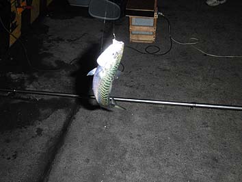 131002_2033uki.jpg(45946 byte)