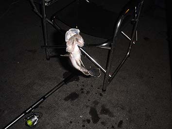 131002_2056uki.jpg(44017 byte)