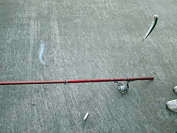 131007_1640katakuti.jpg(59314 byte)
