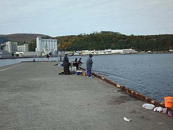 131022_1154hidari.jpg(49558 byte)