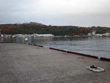 131029_1407hidari.jpg(48545 byte)